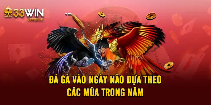 Đá gà vào ngày nào dựa theo các mùa trong năm