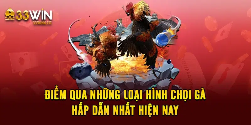 Điểm qua những loại hình chọi gà hấp dẫn nhất hiện nay 