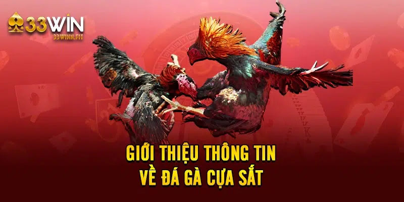 Giới thiệu thông tin về đá gà cựa sắt 