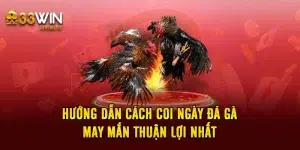 Hướng Dẫn Cách Coi Ngày Đá Gà May Mắn Thuận Lợi Nhất