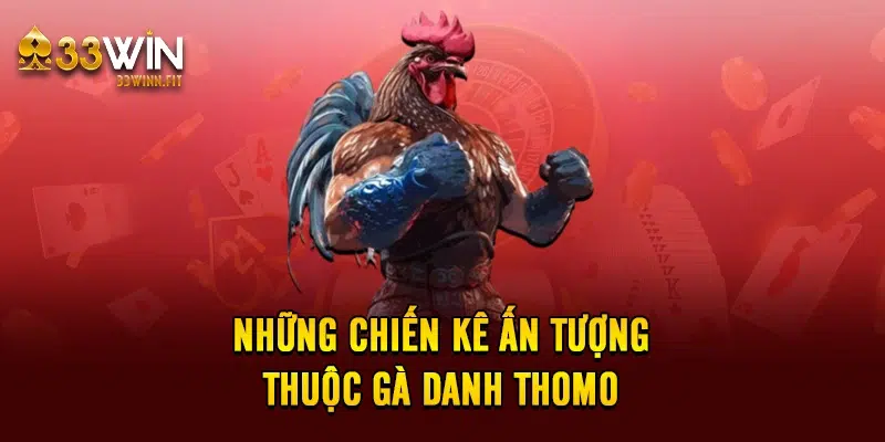 Những chiến kê ấn tượng thuộc gà danh thomo