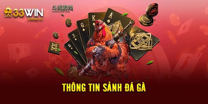 Thông tin sảnh đá gà 